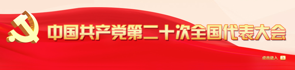 二十大链接