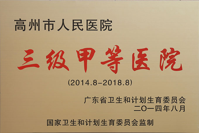 三级甲等医院