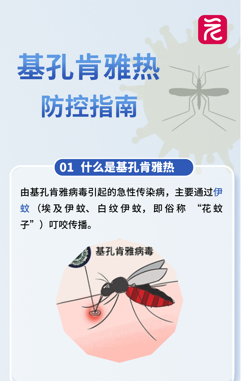 肯德基01.jpg